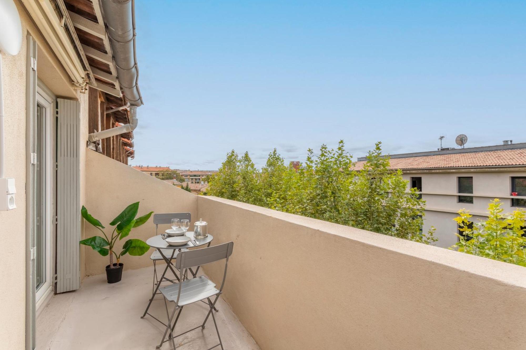 T3 Renove Avec Terrasse Et Vue Appartement